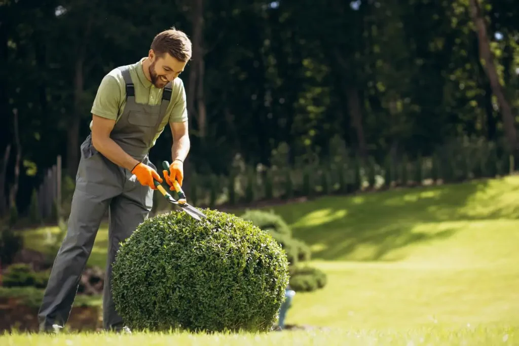Gartenpflege